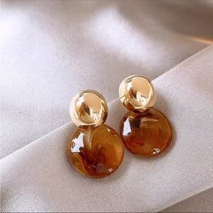 Chic Gold and Brown Earrings